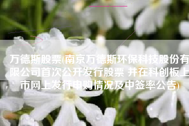 万德斯股票(南京万德斯环保科技股份有限公司首次公开发行股票 并在科创板上市网上发行申购情况及中签率公告)