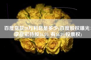 百度贷款20万利息是多少(百度股权曝光：李彦宏持股16.5% 有56.5%投票权)