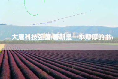 大唐科技强国(唐朝是一本厚厚的书)