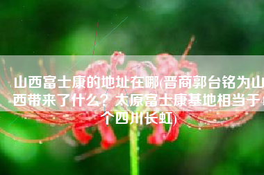 山西富士康的地址在哪(晋商郭台铭为山西带来了什么？太原富士康基地相当于4个四川长虹)