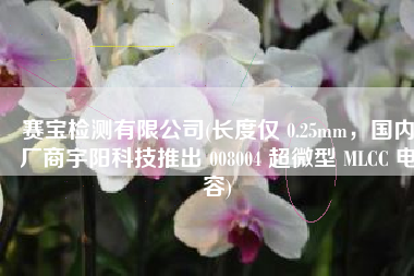 赛宝检测有限公司(长度仅 0.25mm，国内厂商宇阳科技推出 008004 超微型 MLCC 电容)
