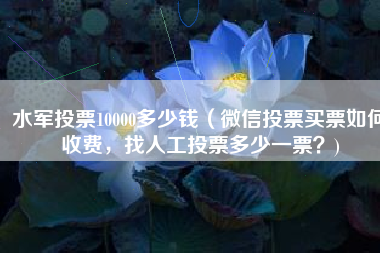 水军投票10000多少钱（微信投票买票如何收费，找人工投票多少一票？)