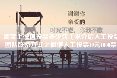 淘宝上微信投票多少钱（求介绍人工投票团队联系方式之微信人工投票10元1000票)