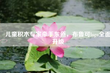 儿童积木专家牵手东道，布鲁可logo全面升级