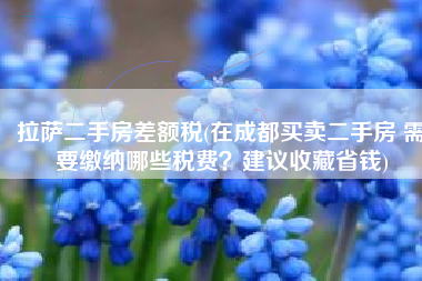 拉萨二手房差额税(在成都买卖二手房 需要缴纳哪些税费？建议收藏省钱)