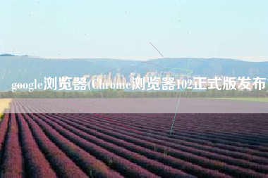 google浏览器(Chrome浏览器102正式版发布)