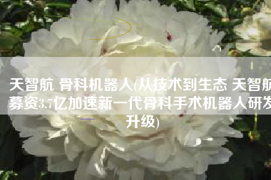 天智航 骨科机器人(从技术到生态 天智航募资3.7亿加速新一代骨科手术机器人研发升级)