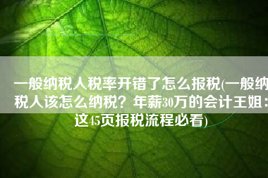 一般纳税人税率开错了怎么报税(一般纳税人该怎么纳税？年薪30万的会计王姐：这45页报税流程必看)