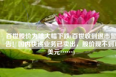 百世股价为啥大幅下跌(百世收到退市警告！国内快递业务已卖出，股价现不到1美元……)