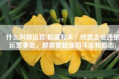 什么叫做运营(稻盛和夫：经营企业还是运营事业，都需要超强的斗志和意志)
