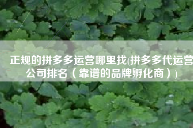 正规的拼多多运营哪里找(拼多多代运营公司排名（靠谱的品牌孵化商）)