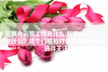 新媒体运营工作是什么(新媒体运营工作是什么？这个门槛相对低的互联网岗位，值得关注)