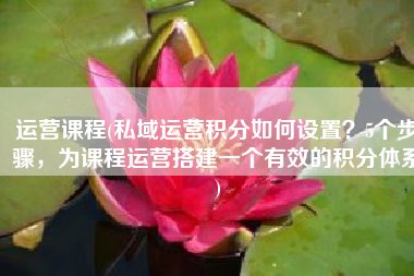 运营课程(私域运营积分如何设置？5个步骤，为课程运营搭建一个有效的积分体系)
