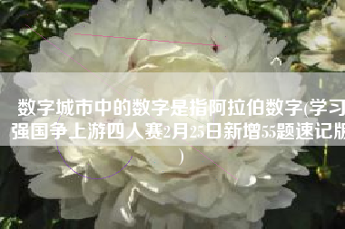 数字城市中的数字是指阿拉伯数字(学习强国争上游四人赛2月25日新增55题速记版)