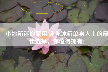 小冰箱迷你家用(迷你冰箱单身人士的最佳选择，你值得拥有)