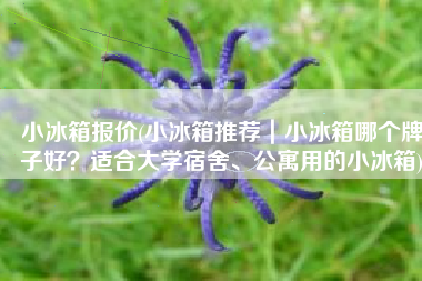 小冰箱报价(小冰箱推荐｜小冰箱哪个牌子好？适合大学宿舍、公寓用的小冰箱)