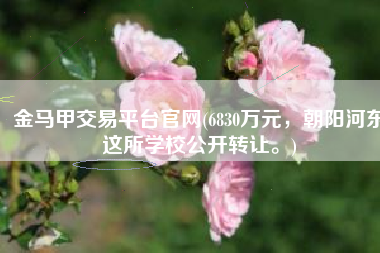 金马甲交易平台官网(6830万元，朝阳河东这所学校公开转让。)