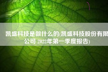 凯盛科技是做什么的(凯盛科技股份有限公司 2022年第一季度报告)