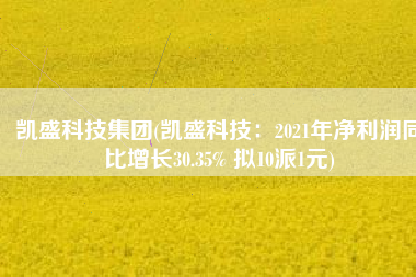 凯盛科技集团(凯盛科技：2021年净利润同比增长30.35% 拟10派1元)