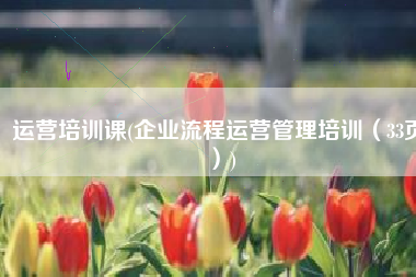 运营培训课(企业流程运营管理培训（33页）)