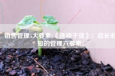 销售管理5大要素(《连锁干货》：店长必知的管理六要素)