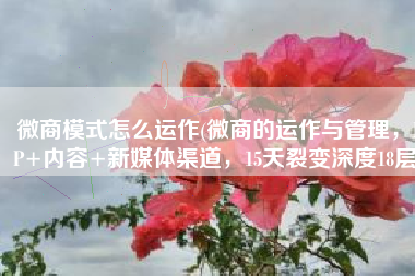 微商模式怎么运作(微商的运作与管理，IP+内容+新媒体渠道，15天裂变深度18层)