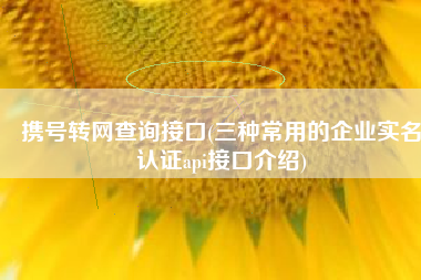 携号转网查询接口(三种常用的企业实名认证api接口介绍)