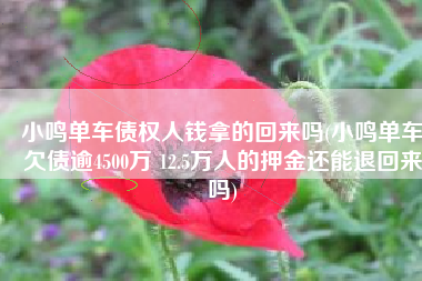 小鸣单车债权人钱拿的回来吗(小鸣单车欠债逾4500万 12.5万人的押金还能退回来吗)