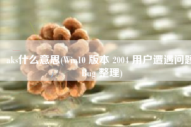 aks什么意思(Win10 版本 2004 用户遭遇问题 Bug 整理)