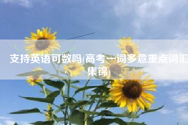 支持英语可数吗(高考一词多意重点词汇集锦)