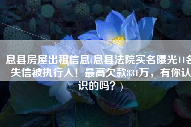 息县房屋出租信息(息县法院实名曝光11名失信被执行人！最高欠款831万，有你认识的吗？)