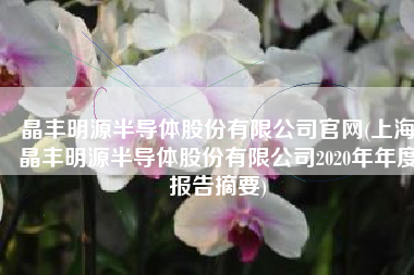 晶丰明源半导体股份有限公司官网(上海晶丰明源半导体股份有限公司2020年年度报告摘要)