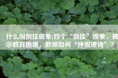 什么叫倒挂现象(四个“倒挂”现象，揭示教育困境，教师如何“挣脱镣铐”？)