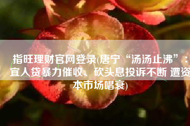 指旺理财官网登录(唐宁“汤汤止沸”：宜人贷暴力催收、砍头息投诉不断 遭资本市场唱衰)