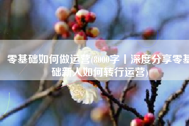 零基础如何做运营(8000字丨深度分享零基础新人如何转行运营)