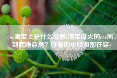 cec淘宝上是什么意思(淘宝爆火的cec风，到底啥意思？好看的小姐姐都在穿)