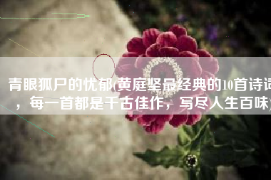 青眼狐尸的忧郁(黄庭坚最经典的10首诗词，每一首都是千古佳作，写尽人生百味)