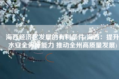 海西经济区发展的有利条件(海西：提升水安全保障能力 推动全州高质量发展)