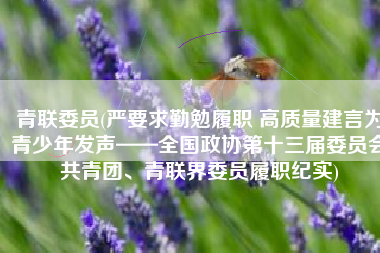 青联委员(严要求勤勉履职 高质量建言为青少年发声——全国政协第十三届委员会共青团、青联界委员履职纪实)