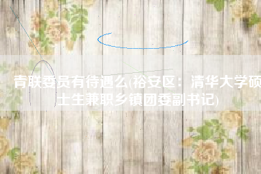 青联委员有待遇么(裕安区：清华大学硕士生兼职乡镇团委副书记)