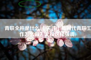 青联全称是什么(【关注】新时代青联工作怎么做？尤权这样强调)