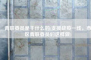 青联委员是干什么的(支援战疫一线，市区青联委员们这样做)