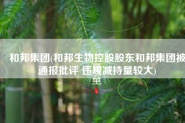 和邦集团(和邦生物控股股东和邦集团被通报批评 违规减持量较大)