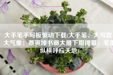 大手笔手写板驱动下载(大手笔、大写意、大气象：蔡寅坤书画大展下周闭幕，笔墨纵横呼应天地)
