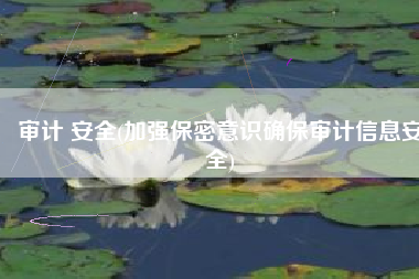 审计 安全(加强保密意识确保审计信息安全)