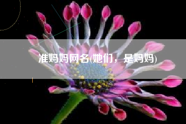 准妈妈网名(她们，是妈妈)