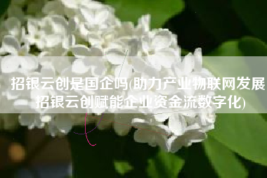 招银云创是国企吗(助力产业物联网发展 招银云创赋能企业资金流数字化)