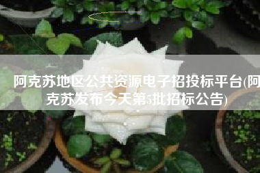 阿克苏地区公共资源电子招投标平台(阿克苏发布今天第5批招标公告)