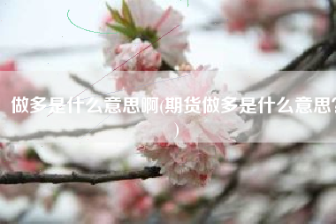 做多是什么意思啊(期货做多是什么意思？)