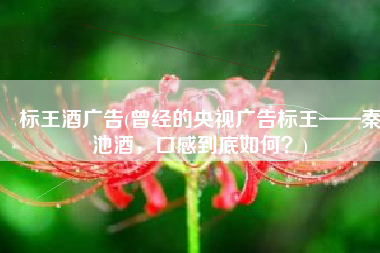 标王酒广告(曾经的央视广告标王——秦池酒，口感到底如何？)